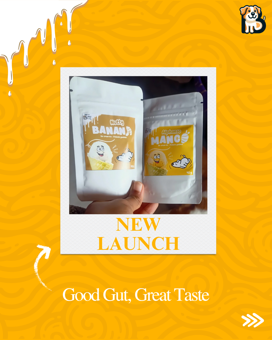 BFAB Natural Frozen Dog Treats - 2 x 40gm