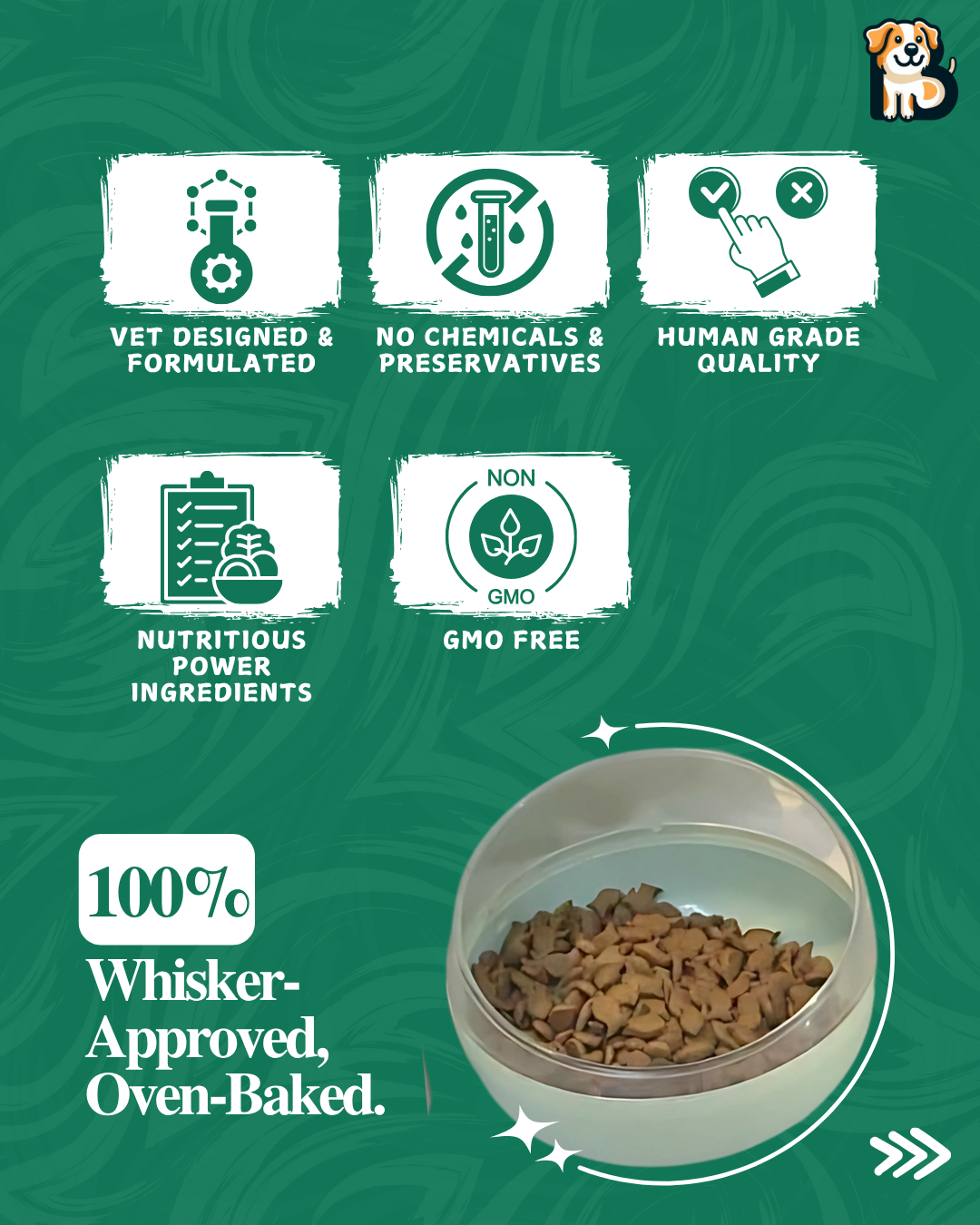 BFAB Oven Baked Kitten Kibble Dry Cat Food - 1Kg