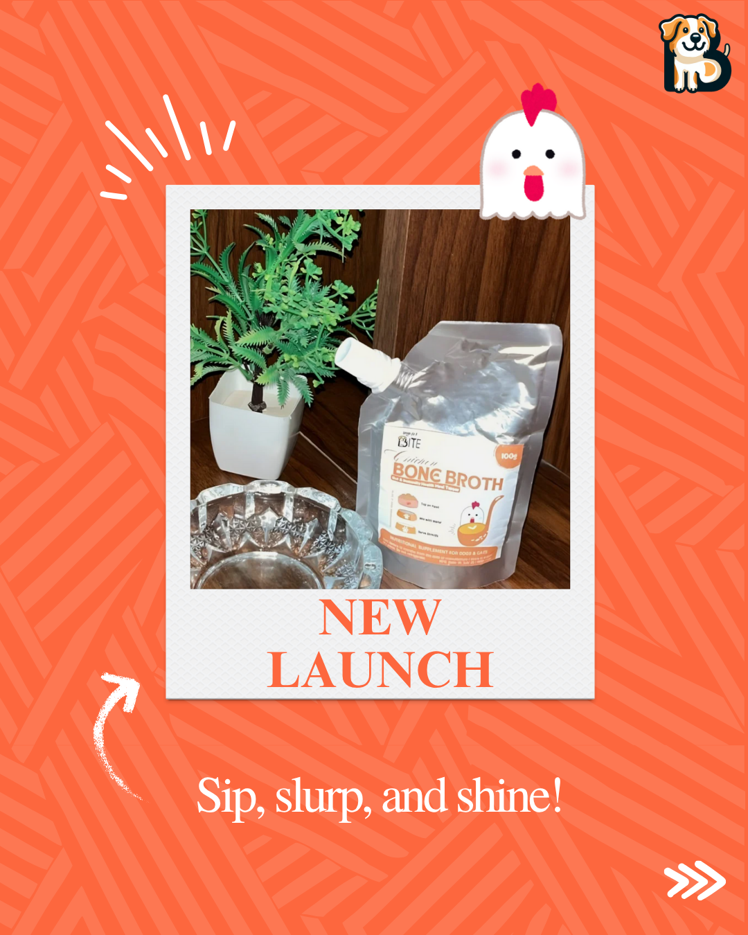 BFAB Chicken Broth for Cats & Dogs | Zero Preservatives