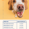 BFAB Carrot Brat Treats for Dogs & Cats (250g) - Beta Carotene, Eyesight, & Heart Health - Image 3