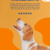 BFAB Carrot Brat Treats for Dogs & Cats (250g) - Beta Carotene, Eyesight, & Heart Health - Image 2