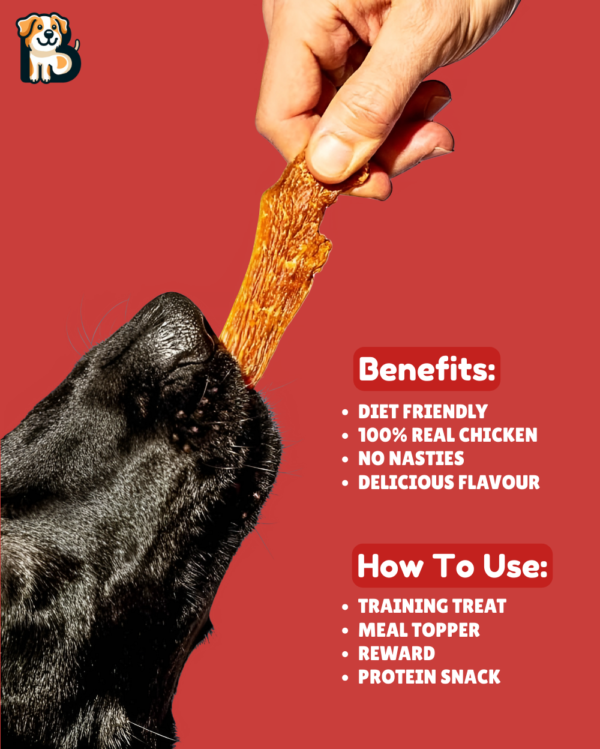 BFAB Turmeric Chicken Breast Jerky - High Protein Dog Treats - Image 3